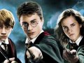 ‘HARRY POTTER’ PUB PLANNED FOR LONDON