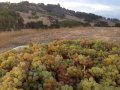 Santa Barbara OKs Contested Tasting Room