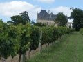 Bordeaux’s Château Fauchey sold to Hong Kong investor