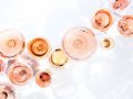 The grape generation: Millennial wine-love is shaping the market