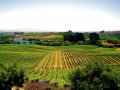 The 6 best wine regions in the world