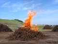 Burning Vineyard Waste for Biochar