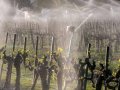 Lawmakers Want to be Wooed by Wine Industry