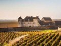 The 10 Most Searched-for Burgundies