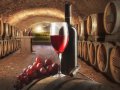 Red Wine Component May Combat Lung Diseases