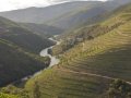 DROUGHT CAUSES ‘EARLIEST EVER’ HARVEST IN THE DOURO