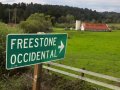 Sonoma County zoning board backs freeze on Freestone commercial development